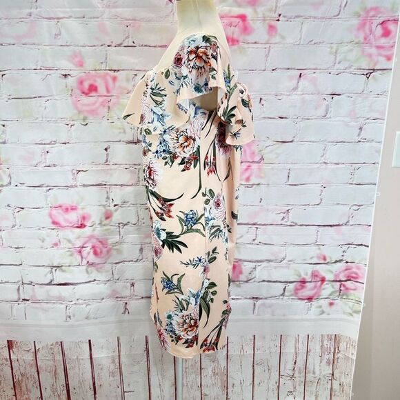 🔥5 for $25 sale🔥Boohoo Plus Off The Shoulder Floral Flounce Dress Pink Size 16 - Picture 6 of 8